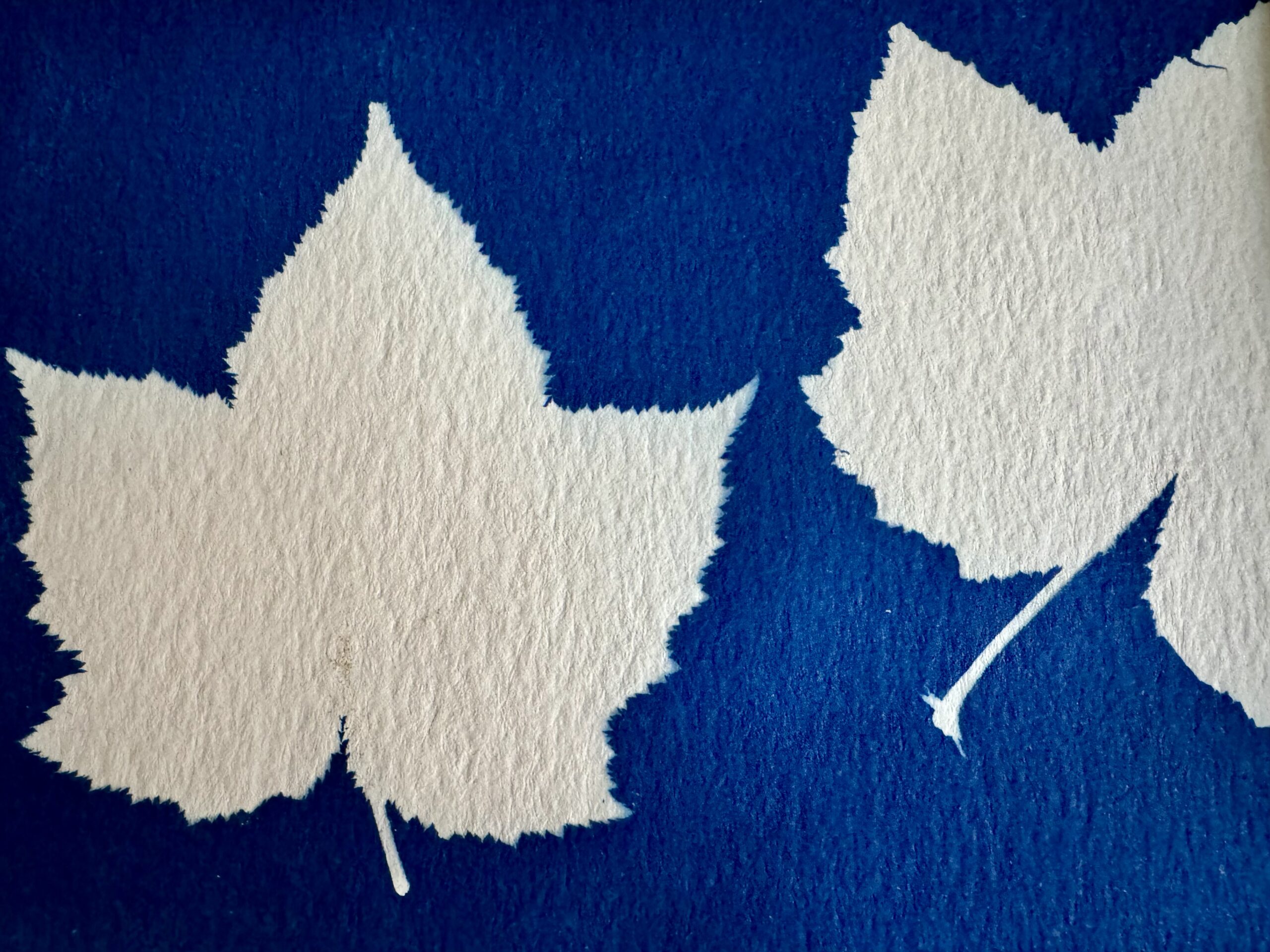 Best Things Today Examples